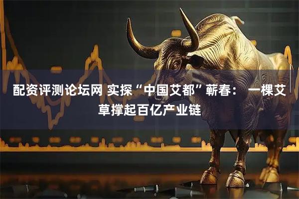 配资评测论坛网 实探“中国艾都”蕲春： 一棵艾草撑起百亿产业链