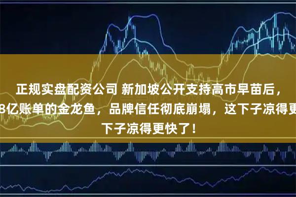 正规实盘配资公司 新加坡公开支持高市早苗后，被罚18亿账单的金龙鱼，品牌信任彻底崩塌，这下子凉得更快了！