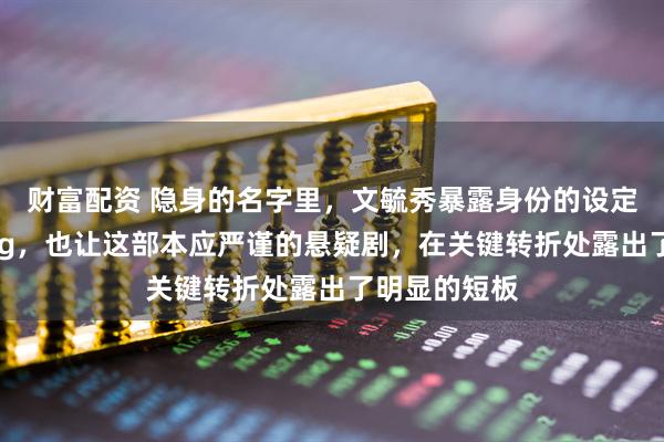 财富配资 隐身的名字里，文毓秀暴露身份的设定就是个大Bug，也让这部本应严谨的悬疑剧，在关键转折处露出了明显的短板