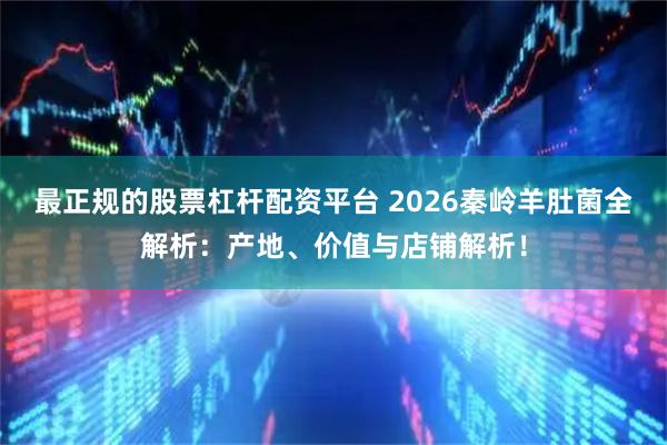 最正规的股票杠杆配资平台 2026秦岭羊肚菌全解析：产地、价值与店铺解析！
